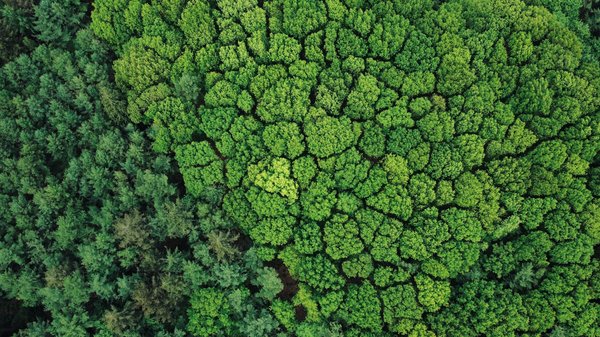 Comment choisir son hébergement dans un camping 3 étoiles en Bretagne ?