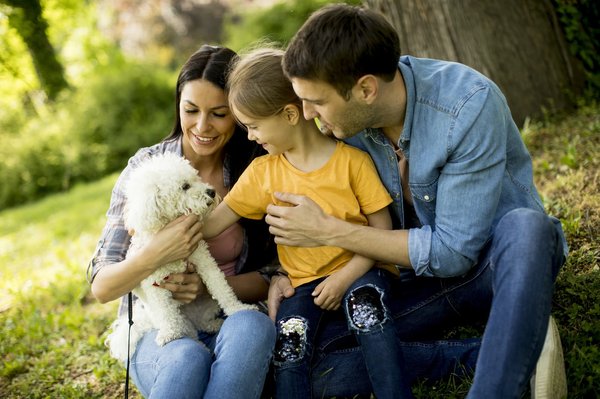 Les Races de Chiens les Plus Adaptées aux Familles et Pourquoi